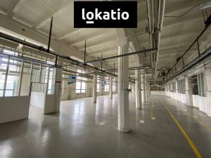 Pronájem skladu, Hrušovany u Brna, 1000 m2