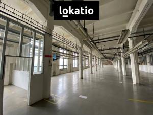 Pronájem skladu, Hrušovany u Brna, 1000 m2