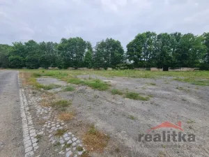 Prodej komerčního pozemku, Brumovice, Mostní, 6000 m2