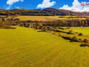 Prodej trvalého travního porostu, Kolinec, 6484 m2