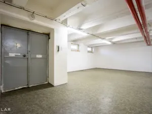Pronájem skladu, Krnov, Revoluční, 229 m2