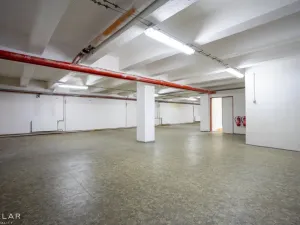 Pronájem skladu, Krnov, Revoluční, 229 m2