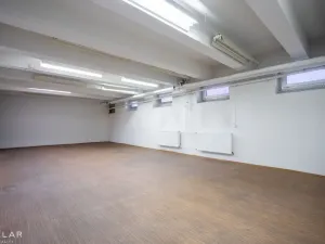 Pronájem skladu, Krnov, Revoluční, 229 m2