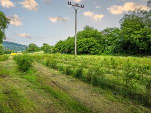 Prodej zemědělského objektu, Ohrazenice, 5228 m2