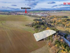 Prodej lesa, Kralovice, 7097 m2