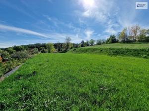 Prodej pozemku pro bydlení, Zduchovice, 2271 m2