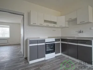 Pronájem bytu 1+1, Vápenná, 42 m2