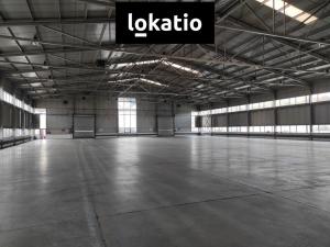 Pronájem skladu, Bílina, Důlní, 2160 m2