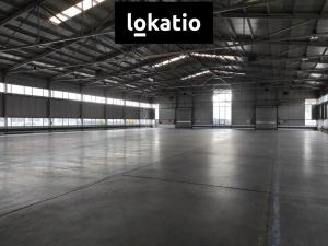 Pronájem skladu, Bílina, Důlní, 2160 m2