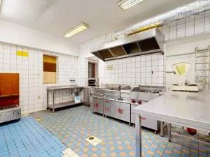 Prodej obchodního prostoru, Kralupy nad Vltavou, Hostivítova, 485 m2