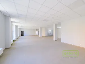 Prodej obchodního prostoru, České Budějovice, Dr. Bureše, 1032 m2