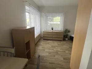 Pronájem bytu 1+1, Skalice u České Lípy, 40 m2