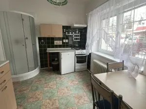 Pronájem bytu 1+1, Skalice u České Lípy, 40 m2