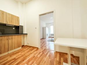 Pronájem bytu 1+1, Praha - Žižkov, Jeronýmova, 29 m2