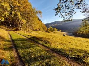 Prodej chalupy, Špindlerův Mlýn - Labská, 450 m2