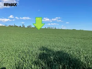 Prodej zemědělské půdy, Bystročice, 7076 m2