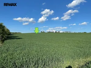 Prodej zemědělské půdy, Bystročice, 7076 m2