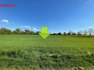 Prodej zemědělské půdy, Bystročice, 13726 m2