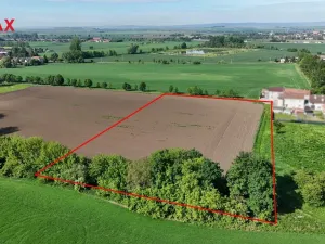 Prodej zemědělské půdy, Bystročice, 13726 m2