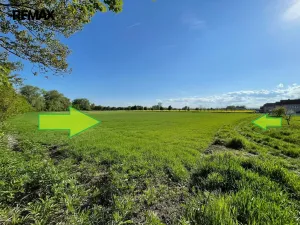 Prodej zemědělské půdy, Bystročice, 13726 m2