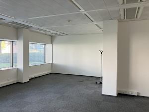 Pronájem kanceláře, Brno, Holandská, 76 m2