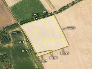 Prodej zemědělské půdy, Štětí, 24456 m2