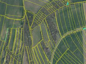 Prodej podílu trvalého travního porostu, Sazená, 525 m2