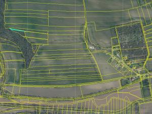 Prodej podílu trvalého travního porostu, Sazená, 525 m2