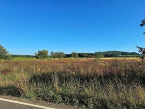 Prodej zemědělské půdy, Mnichovo Hradiště - Sychrov, 140145 m2