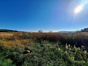 Prodej zemědělské půdy, Mnichovo Hradiště - Sychrov, 140145 m2