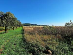 Prodej zemědělské půdy, Mnichovo Hradiště - Sychrov, 140145 m2