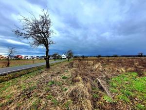Prodej zemědělské půdy, Mnichovo Hradiště - Sychrov, 140145 m2