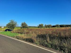 Prodej zemědělské půdy, Mnichovo Hradiště - Sychrov, 140145 m2
