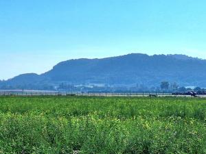 Prodej zemědělské půdy, Mnichovo Hradiště - Sychrov, 140145 m2