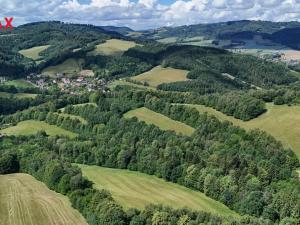 Prodej trvalého travního porostu, Metylovice, 12132 m2