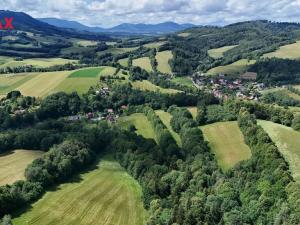 Prodej trvalého travního porostu, Metylovice, 12132 m2