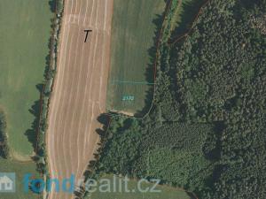 Prodej zemědělské půdy, Mičovice, 4567 m2