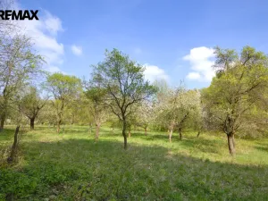Prodej pozemku pro bydlení, Březnice, 2661 m2