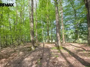 Prodej pozemku pro bydlení, Březnice, 2661 m2