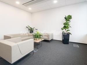 Pronájem kanceláře, Brno, Nové sady, 420 m2