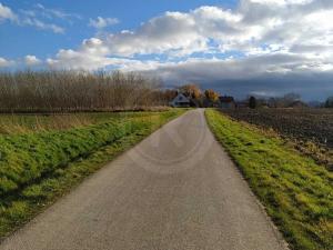 Prodej trvalého travního porostu, Borovany, 10999 m2