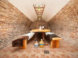 Prodej činžovního domu, Mikulov, U Bažantnice, 672 m2