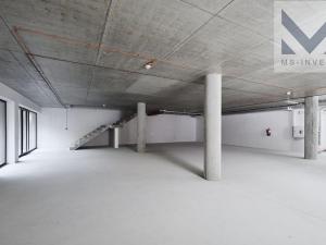 Prodej obchodního prostoru, Praha - Žižkov, Hartigova, 216 m2