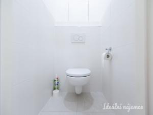 Pronájem bytu 2+kk, Praha, U pramene, 50 m2