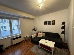 Pronájem bytu 2+1, Praha - Žižkov, Viklefova, 50 m2