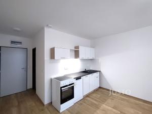 Pronájem bytu 1+kk, Čížová - Topělec, 27 m2