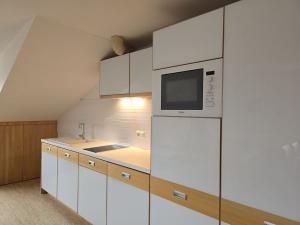 Prodej bytu 2+kk, Železná Ruda, Německo, Klatovská, 45 m2