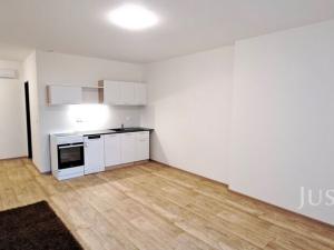 Pronájem bytu 1+kk, Čížová - Topělec, 29 m2