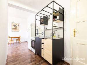 Pronájem bytu 2+kk, Praha - Vinohrady, Písecká, 40 m2