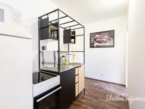 Pronájem bytu 2+kk, Praha - Vinohrady, Písecká, 40 m2